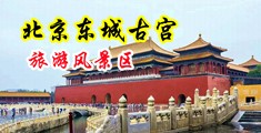 2次元美女比基尼内射中国北京-东城古宫旅游风景区